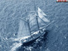 a1620376c0af.jpg