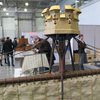 Когг_06.JPG