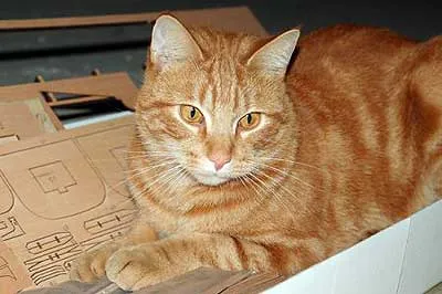 HMS Victory фирмы Mantua. Часть 2 09_01 HMS Victory фирмы Mantua. Часть 2 09_01