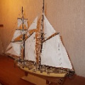 Miky Albatros