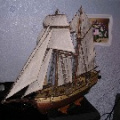 Albatros_001