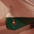 J-S-ELCANO