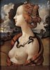 15107-portrait-of-simonetta-vespucci-piero-di-cosimo.jpg