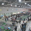 Крокус - общие виды_01.JPG