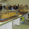 Крокус - общие виды_06.JPG