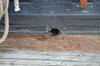 DSC_0195.JPG