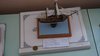 DSC02541.jpg