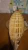 DSC04017.JPG