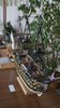 DSC02676.JPG