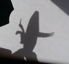 20180610_110516.jpg