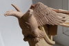20180609_160839.jpg
