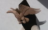 20180610_111218.jpg