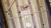 VideoCapture_20181201-194649.jpg