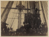 11715v.jpg