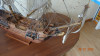 DSC00644.JPG