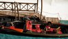 DSC04163.JPG
