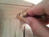 20141120_135046.jpg