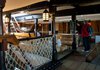 s0367027.jpg