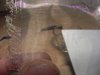DSCN4081.JPG