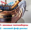 elephantm17 — копия.jpg