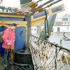 8560225.jpg