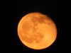 DSCN4089.JPG
