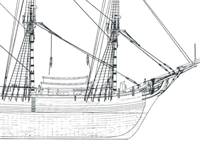 Грота-штаг и грот-лось-штаг (фрагмент из анатомии)