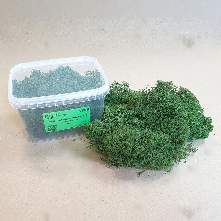 Мох стабилизированный, темно-оливковый (30 г.) Мох стабилизированный, темно-оливковый (30 г.)