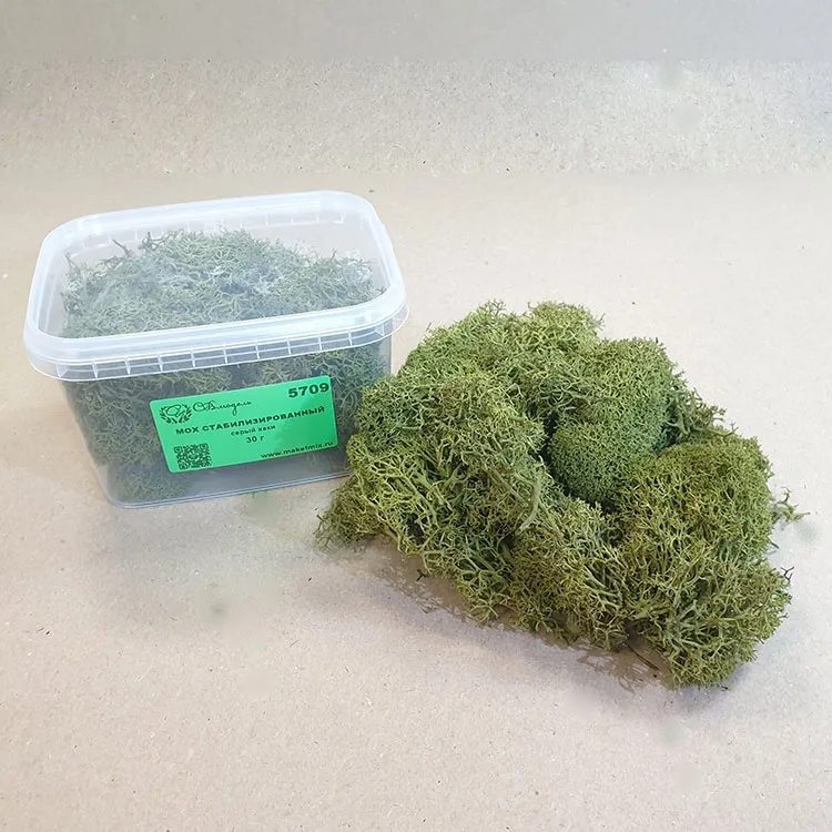 Мох стабилизированный, серый хаки (30 г.)