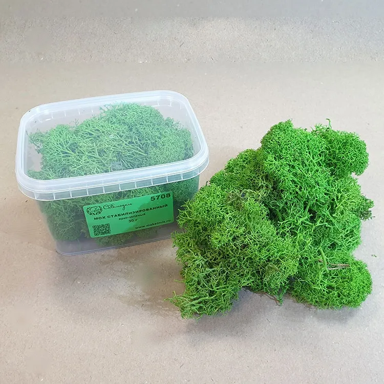 Мох стабилизированный, ярко-зеленый (30 г.)