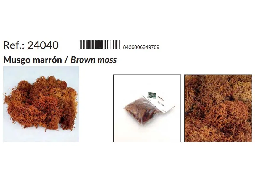 Коричневый мох (25 г.) 