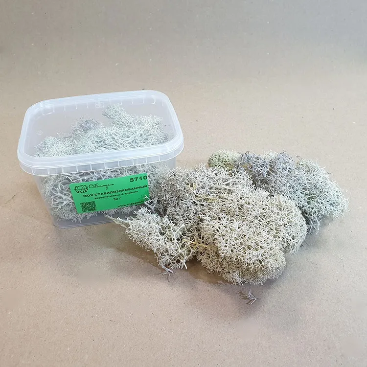 Мох стабилизированный, весенне-зеленый крайола (30 г.)