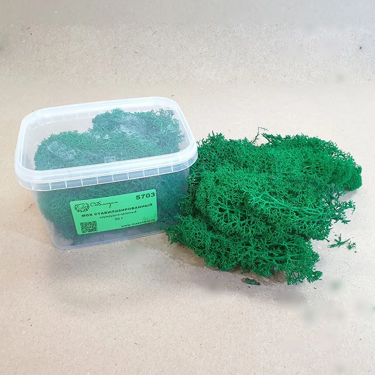 Мох стабилизированный, изумрудно-зеленый (30 г.) Мох стабилизированный, изумрудно-зеленый (30 г.)