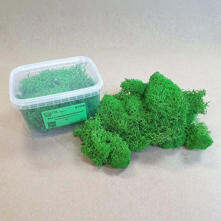 Мох стабилизированный, мусульманский зеленый (30 г.)