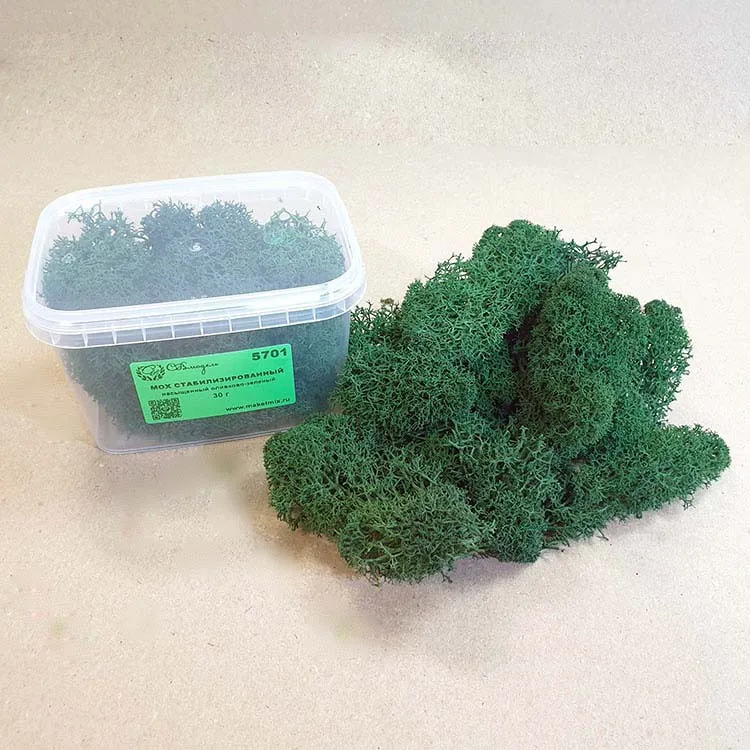 Мох стабилизированный, насыщенный оливково-зеленый (30 г.)