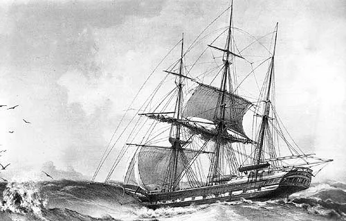 Барк Constance, идущий бакштаг Барк Constance, идущий бакштаг