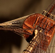 IMG_0092.jpg