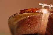 MG_4546.JPG