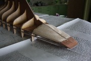 IMG_4587.JPG