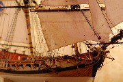 DSC_0297.JPG