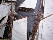 Albatros_8