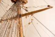 20180110-20180110-E20A7847.jpg