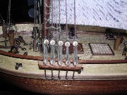 Albatros_10