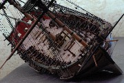 DSC_0203.jpg