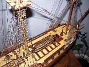 IMGP3224.jpg