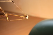 IMG_0640.jpg