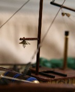 IMG_6712.jpg