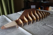 IMG_4586.JPG