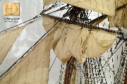 sp040.jpg