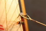 IMG_0633.jpg